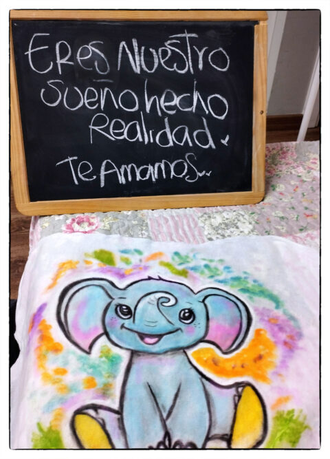 Foto de un dibujo de un elefante con colores transferido a una tela